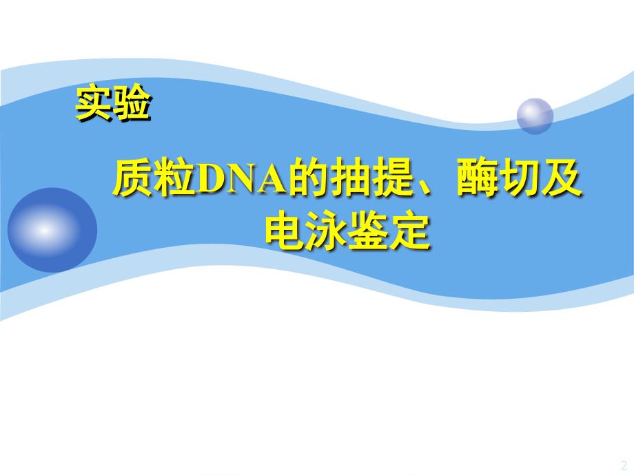 质粒DNA的抽提、纯化与检测_第2页