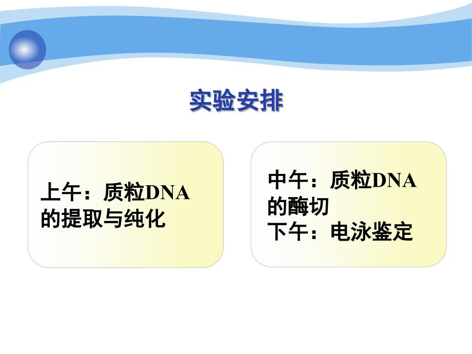 质粒DNA的抽提、纯化与检测_第3页