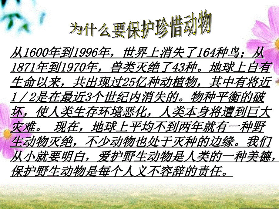 保护珍稀动物PPT_第2页