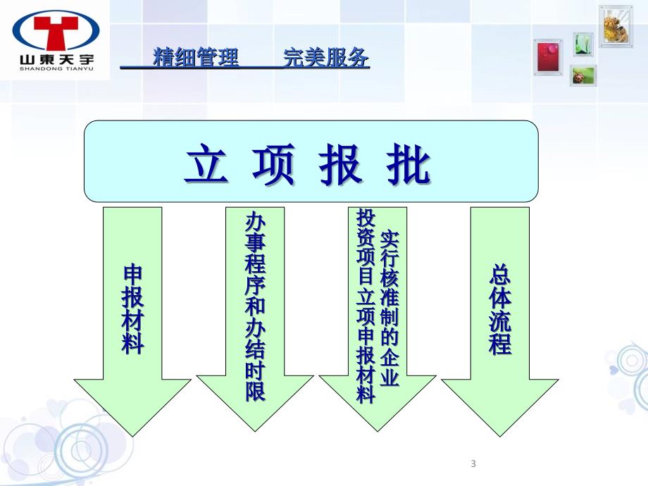 工程建设项目前期手续办理PPT50页_第3页