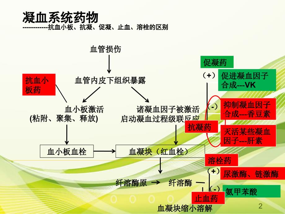 抗凝药物简介ppt课件1_第2页