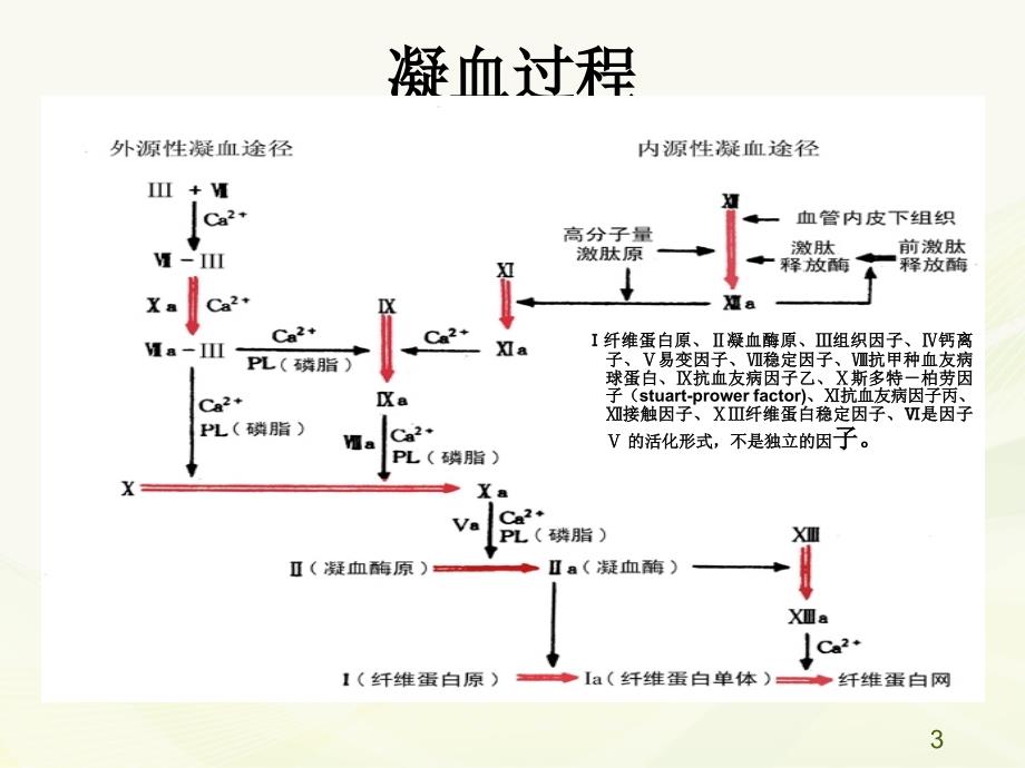 抗凝药物简介ppt课件1_第3页