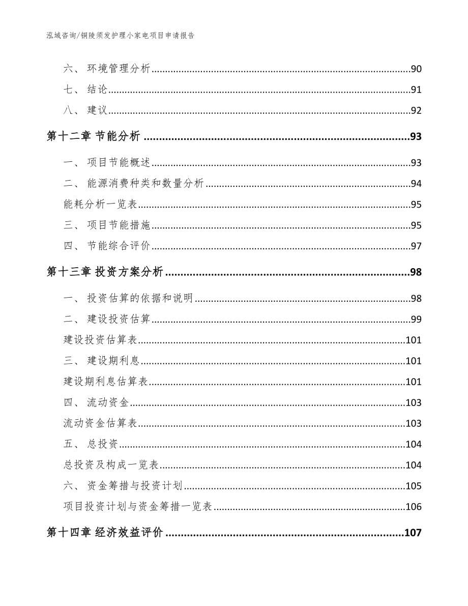 铜陵须发护理小家电项目申请报告（模板范文）_第5页