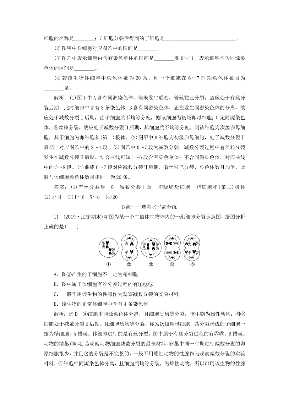 20192020学年新教材高中生物课时双测过关五减数分裂新人教版必修22_第4页