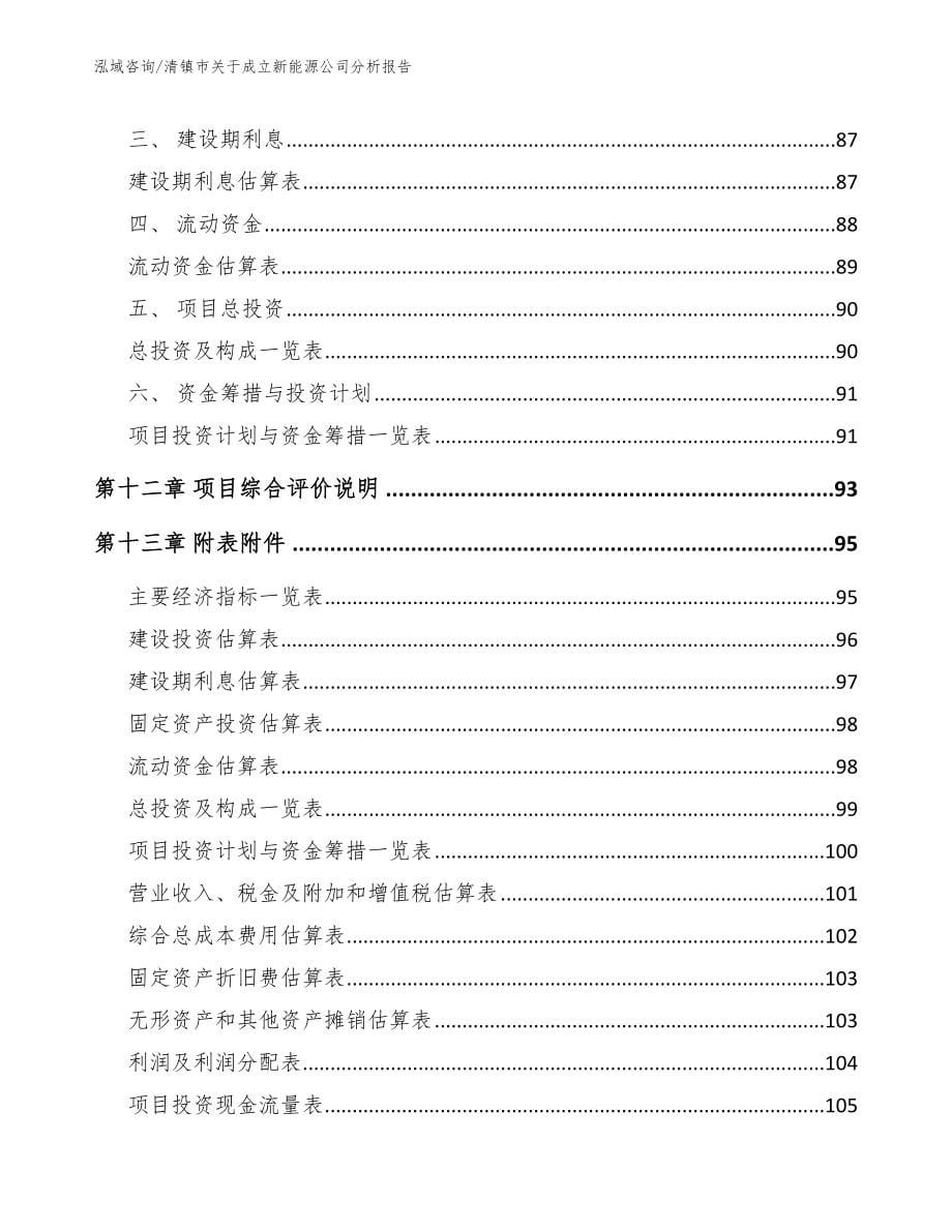 清镇市关于成立新能源公司分析报告范文模板_第5页