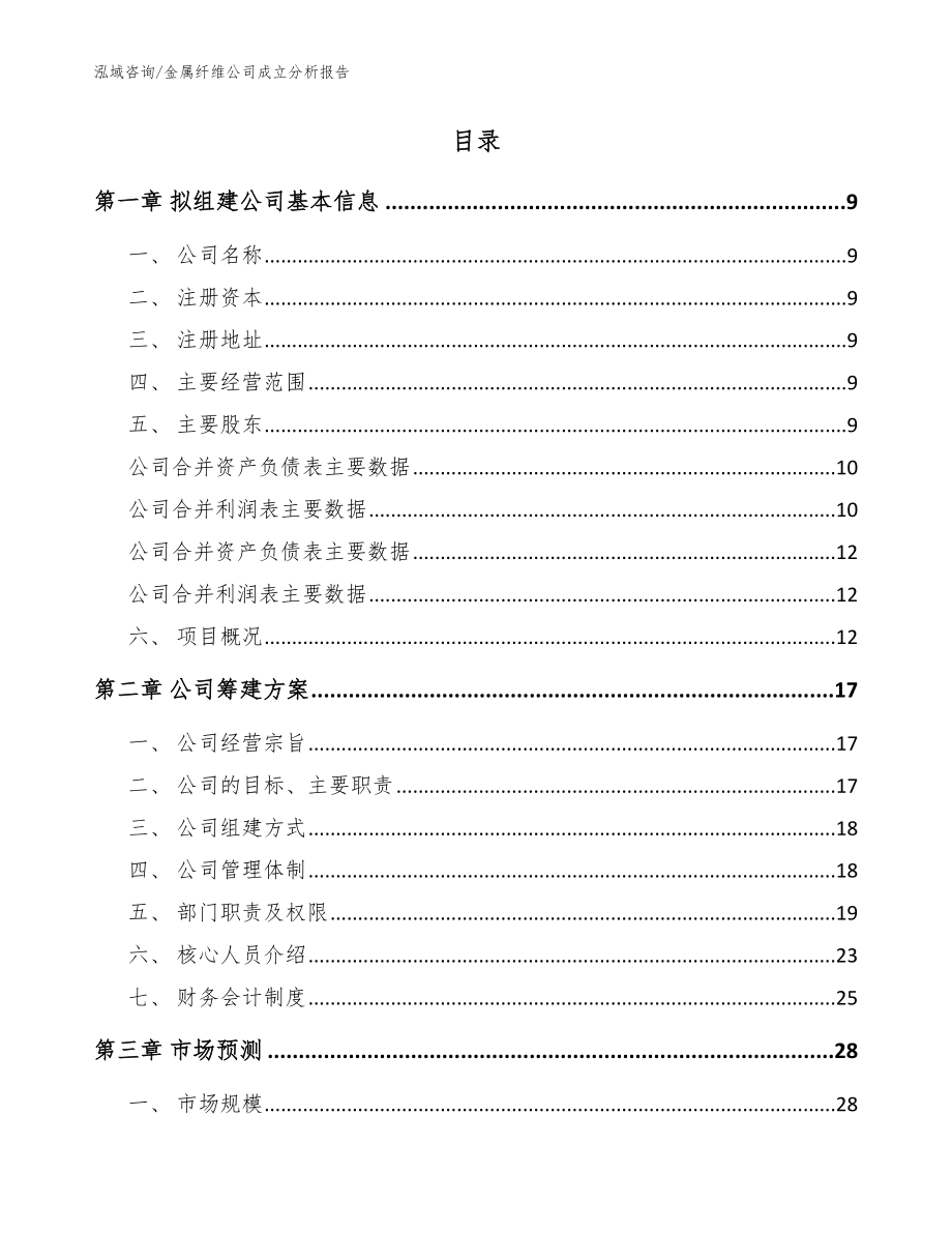 金属纤维公司成立分析报告模板_第2页