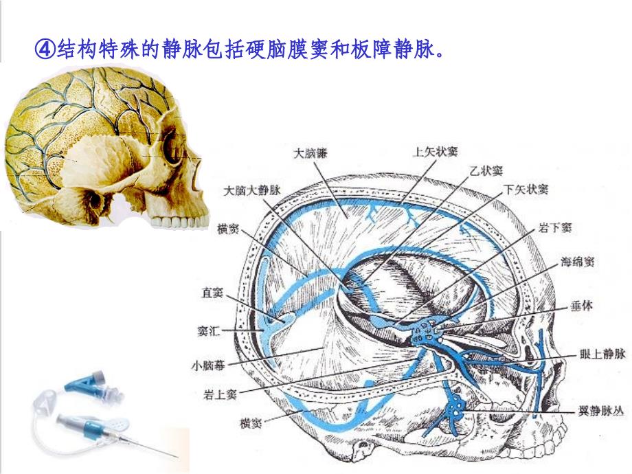 静脉系统ppt参考课件_第3页