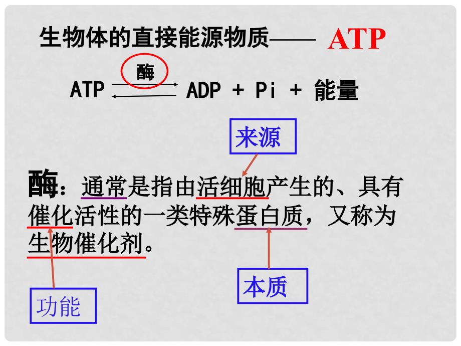 高一生物：4.1《ATP和酶》课件03（苏教版必修1）_第2页