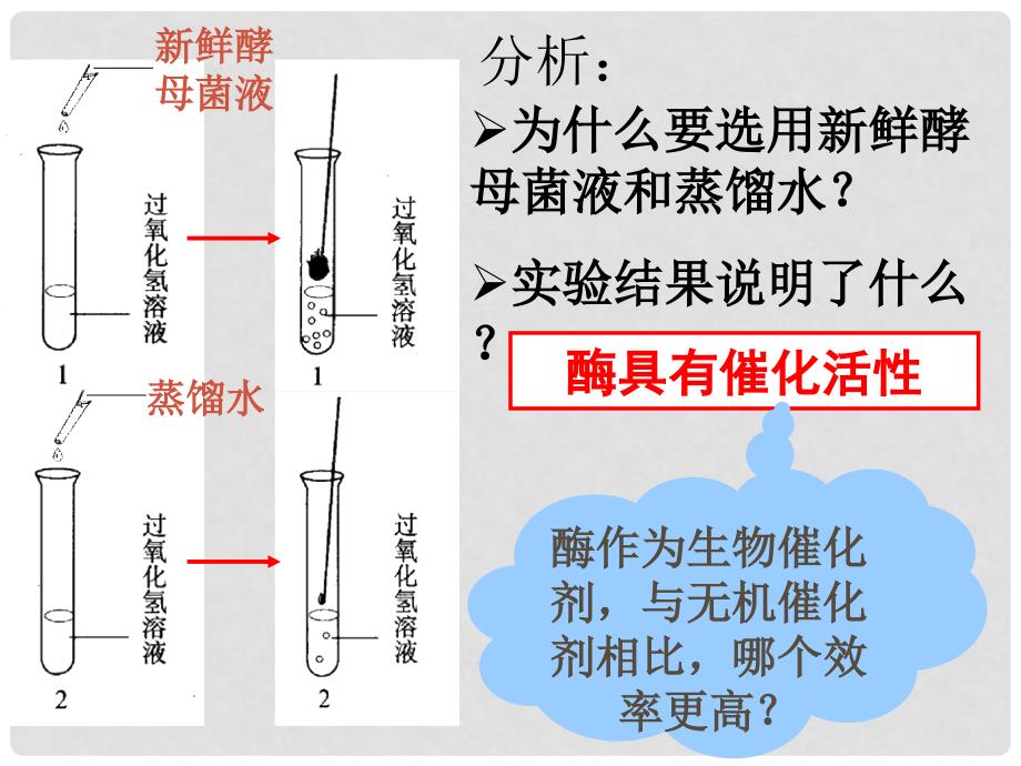 高一生物：4.1《ATP和酶》课件03（苏教版必修1）_第4页