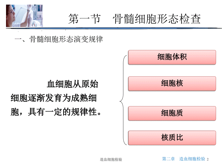 造血细胞检验课件_第2页