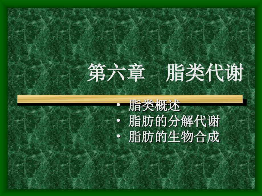 第六章脂类代谢生物化学课件_第1页