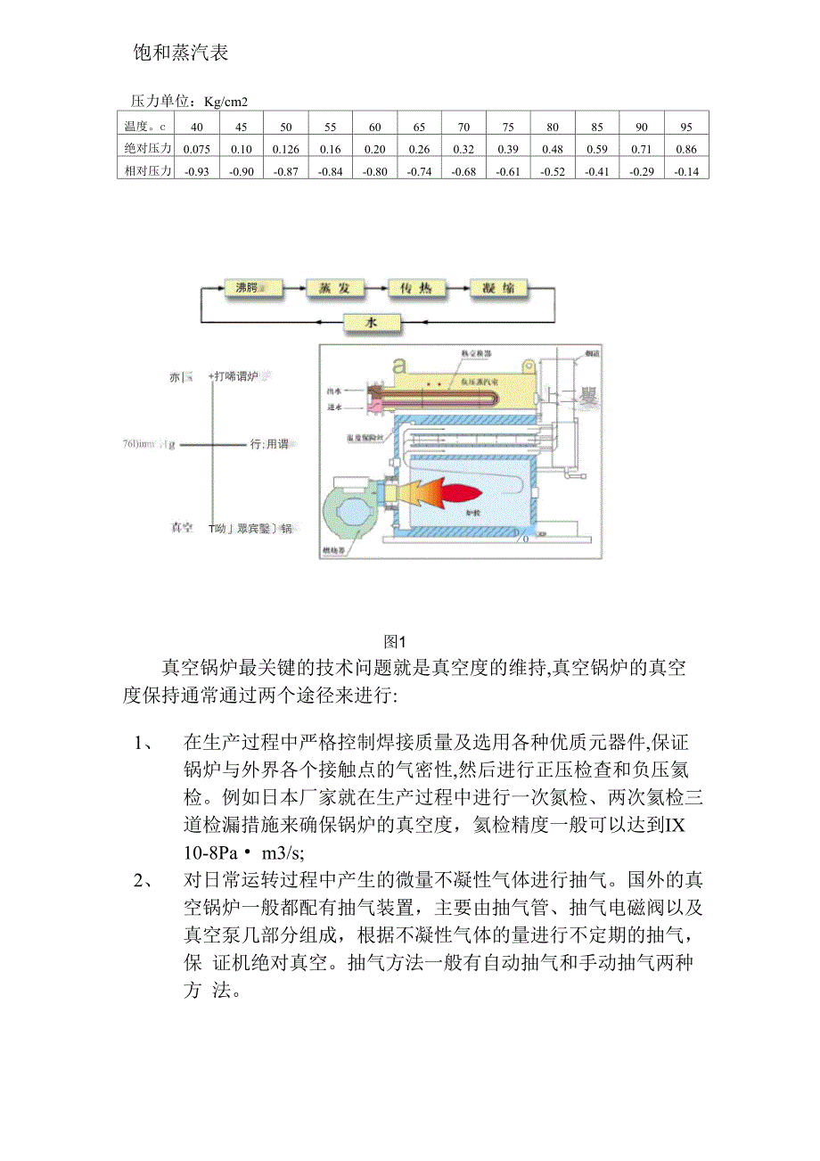 真空锅炉原理特点_第2页