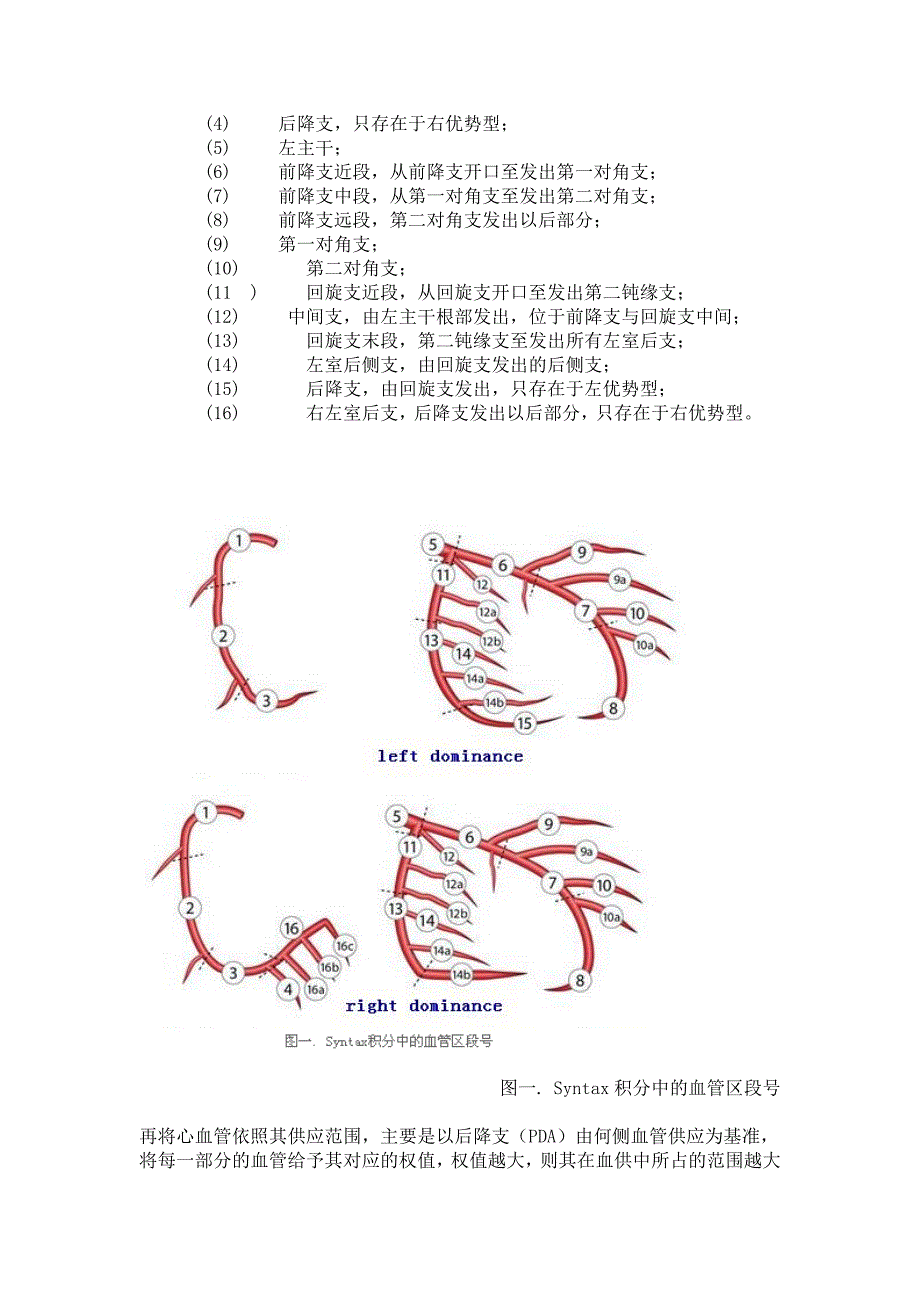 SYNTAX积分及应用.docx_第2页