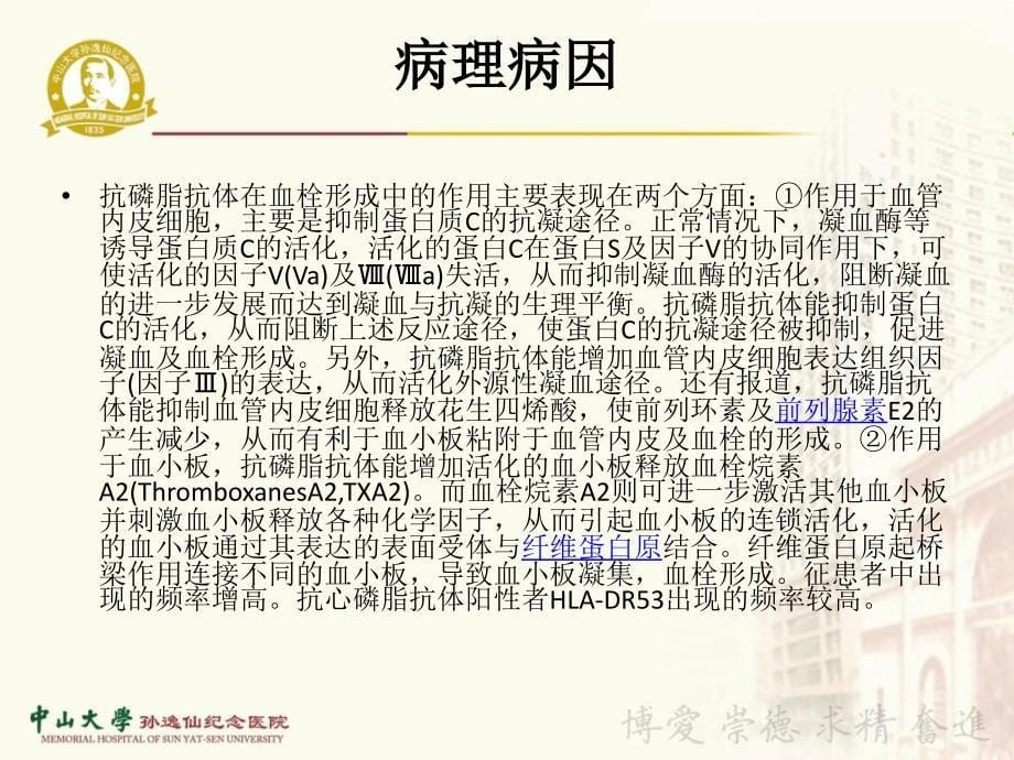 抗磷脂抗体综合征副本 ppt课件_第5页