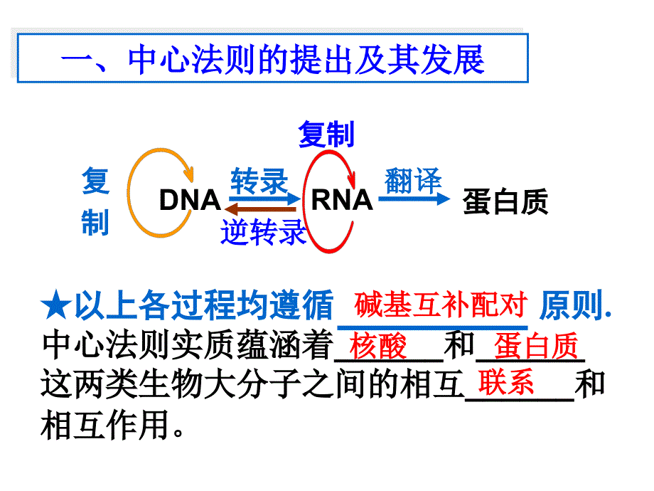 第4章基因的表达第2节基因对性状的控制_第3页