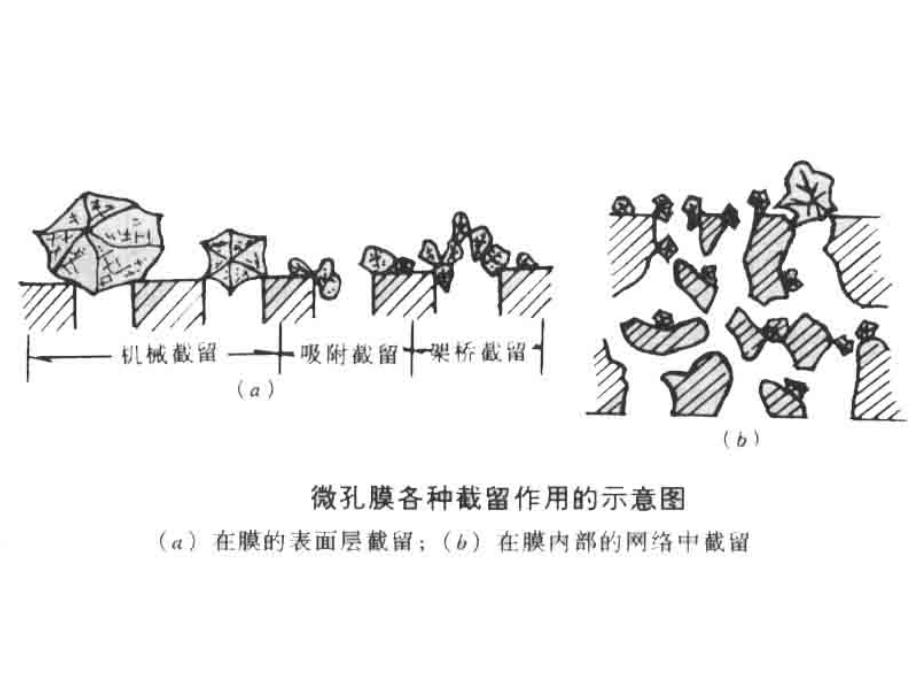 分离科学与进展中科大lectu_第4页