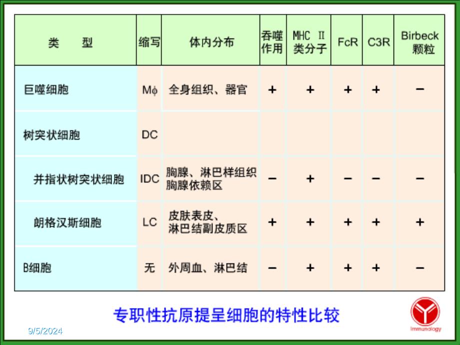 抗原提呈细胞及其他免疫细胞课件_第3页