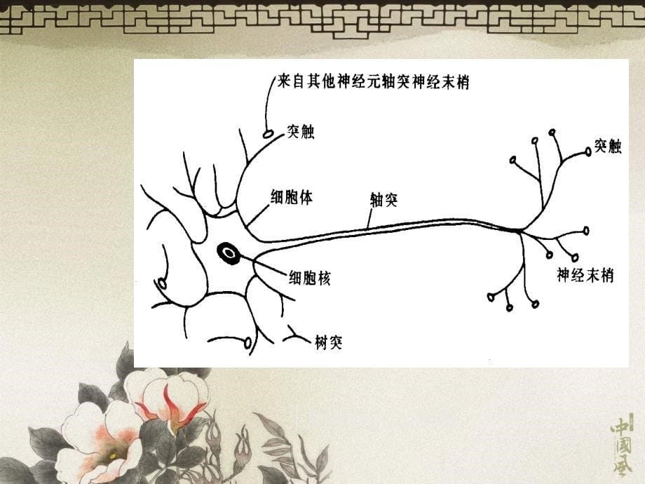 人工神经网络及其应用神经网络基础知识_第5页