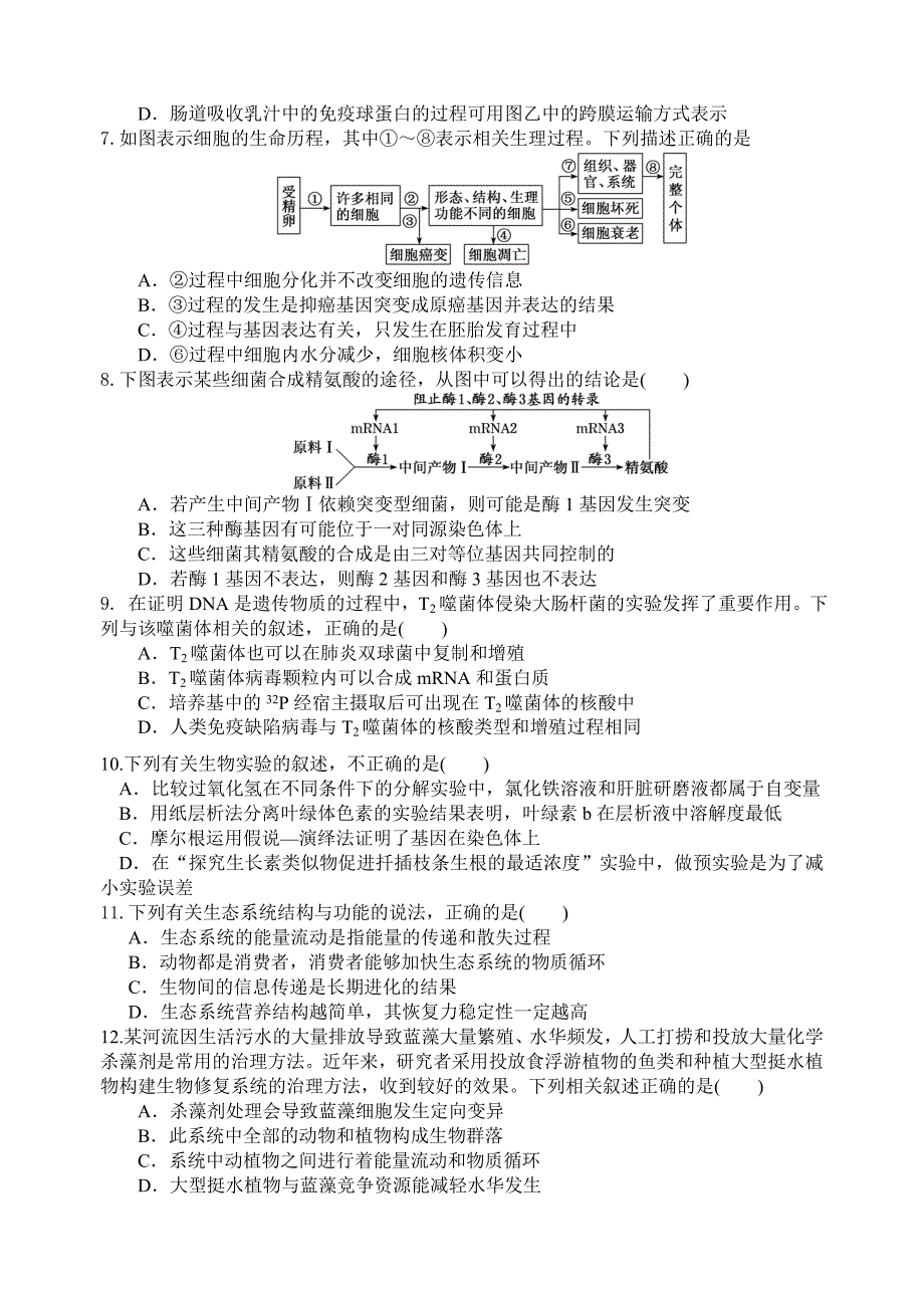 高三生物午练一.doc_第2页