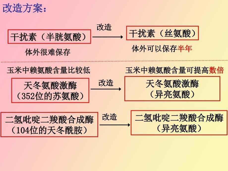 蛋白质工程的崛起新_第5页