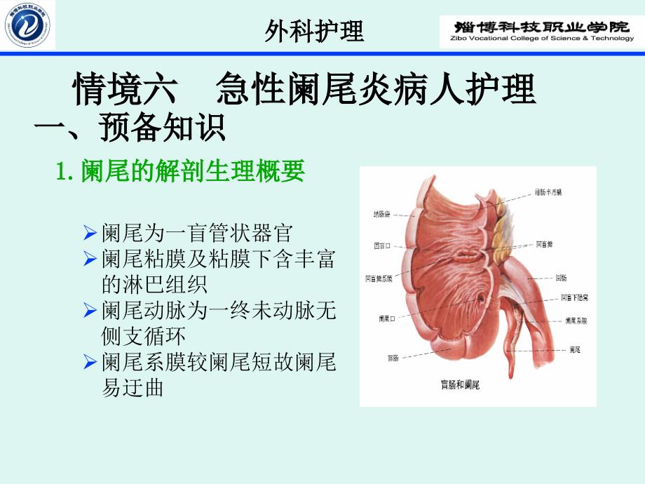 急性阑尾炎实训_第1页