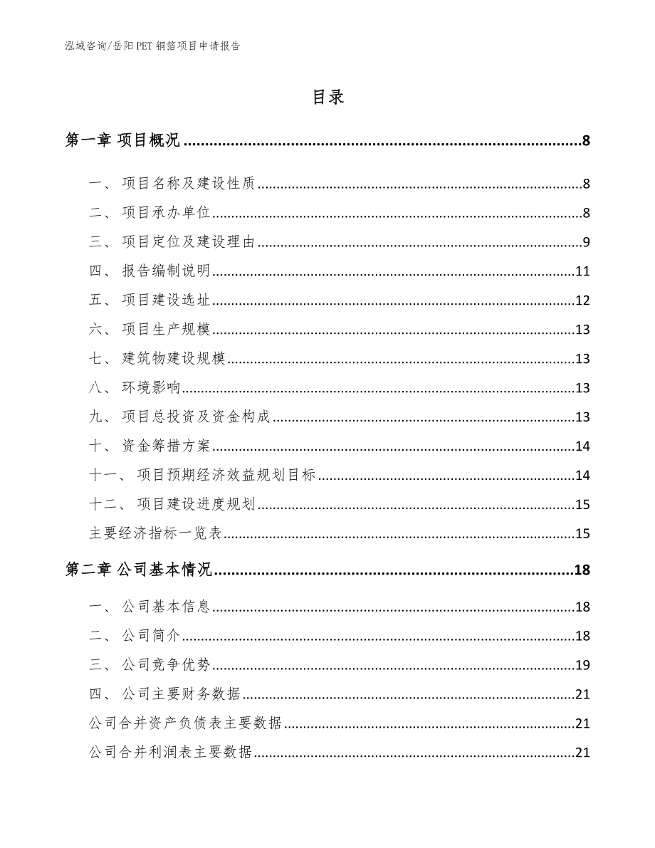 岳阳PET铜箔项目申请报告（模板）_第1页