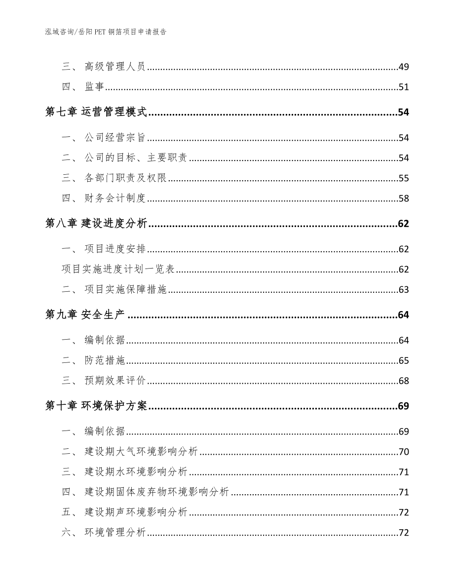 岳阳PET铜箔项目申请报告（模板）_第3页