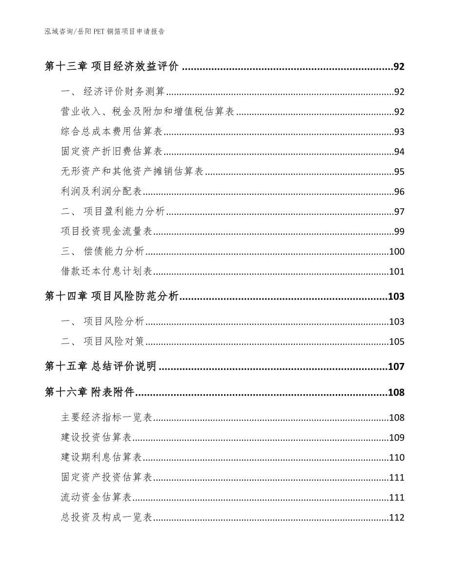 岳阳PET铜箔项目申请报告（模板）_第5页