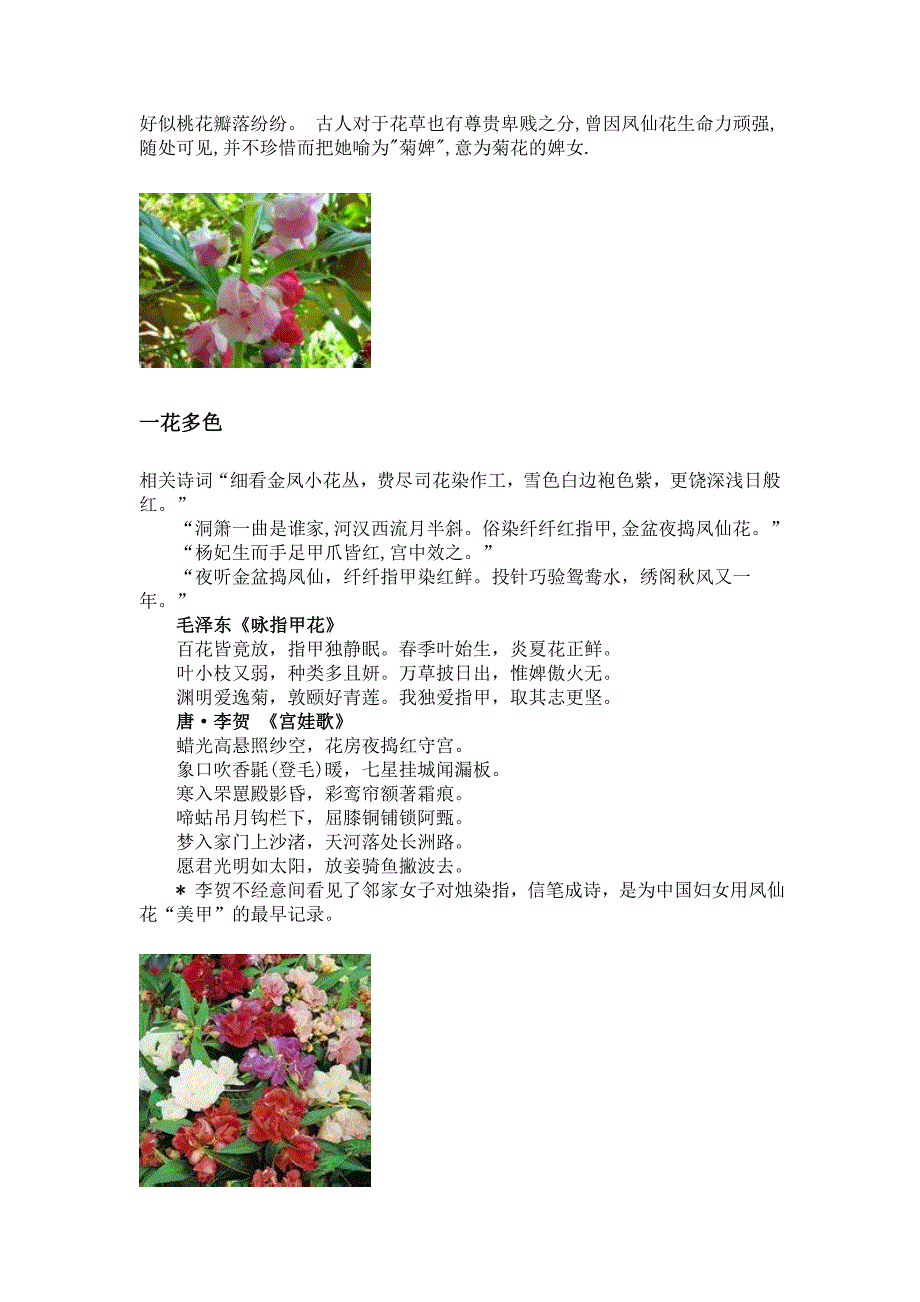 常见花及美丽诗词_第3页