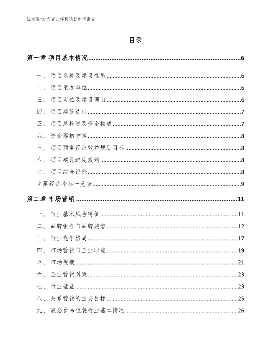 龙岩扎啤机项目申请报告_第1页