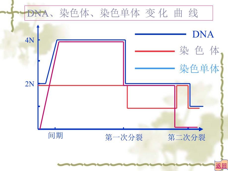 人教必修二第2章基因和染色体的关系第1节受精作用减数分裂_第2页