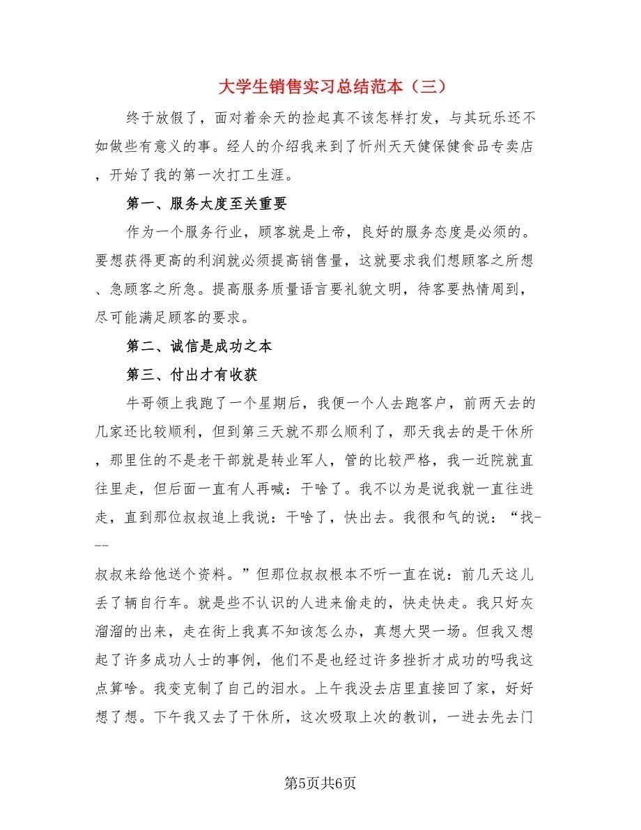 大学生销售实习总结范本（三篇）.doc_第5页