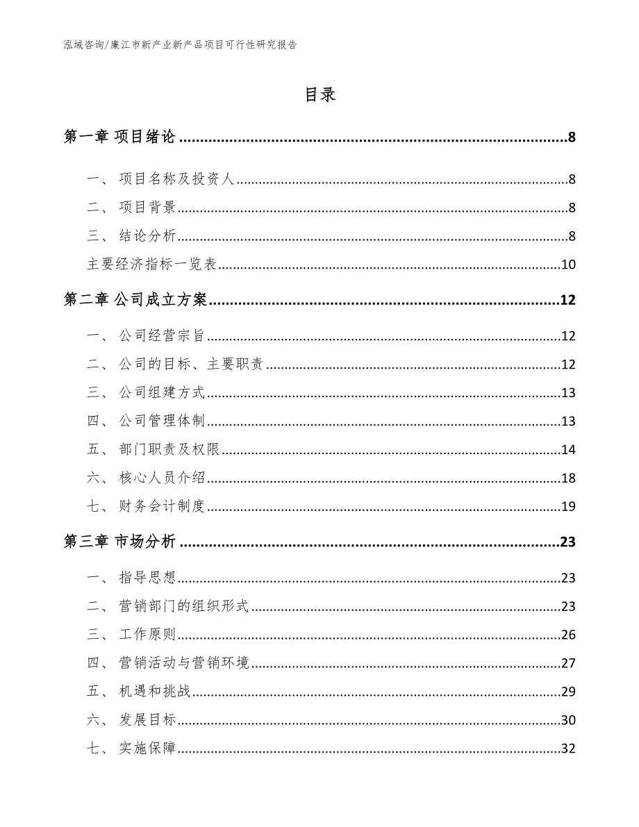 廉江市新产业新产品项目可行性研究报告（模板范本）_第4页