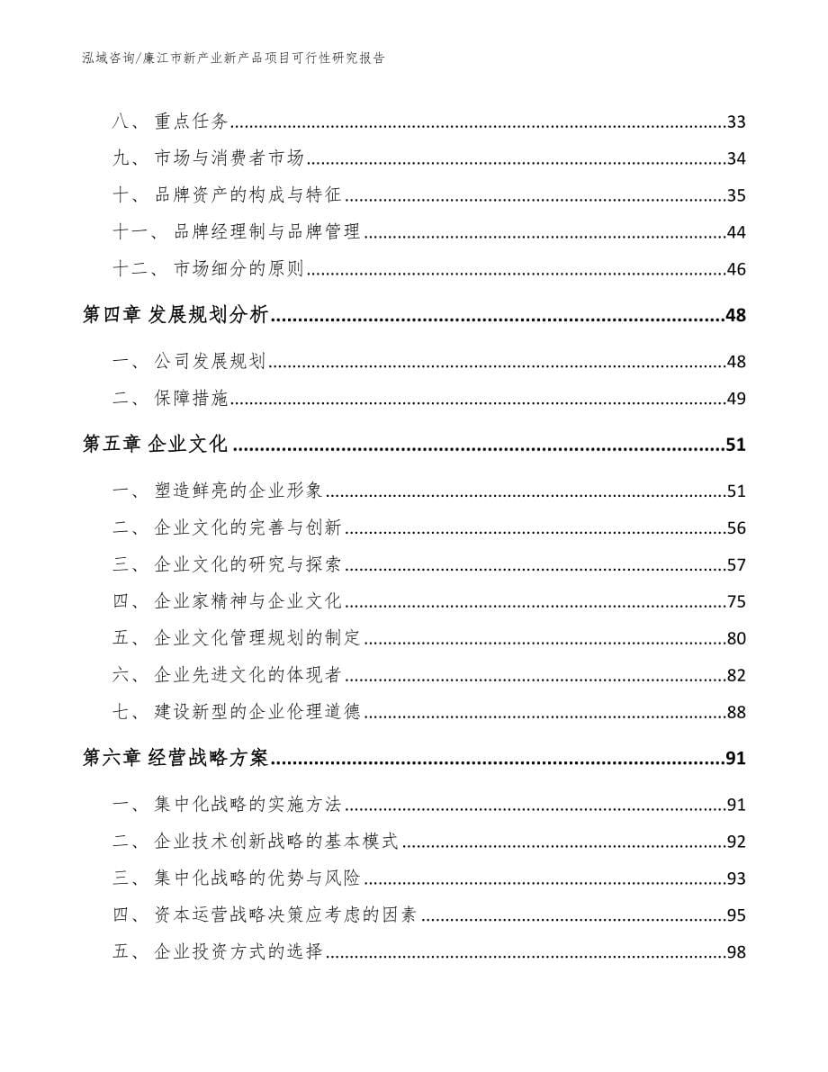 廉江市新产业新产品项目可行性研究报告（模板范本）_第5页