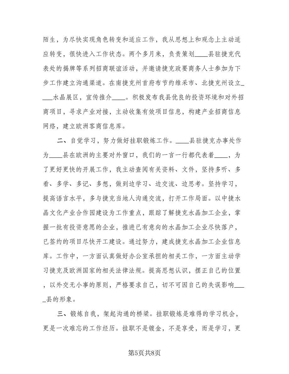 挂职锻炼个人工作总结标准范文（3篇）.doc_第5页