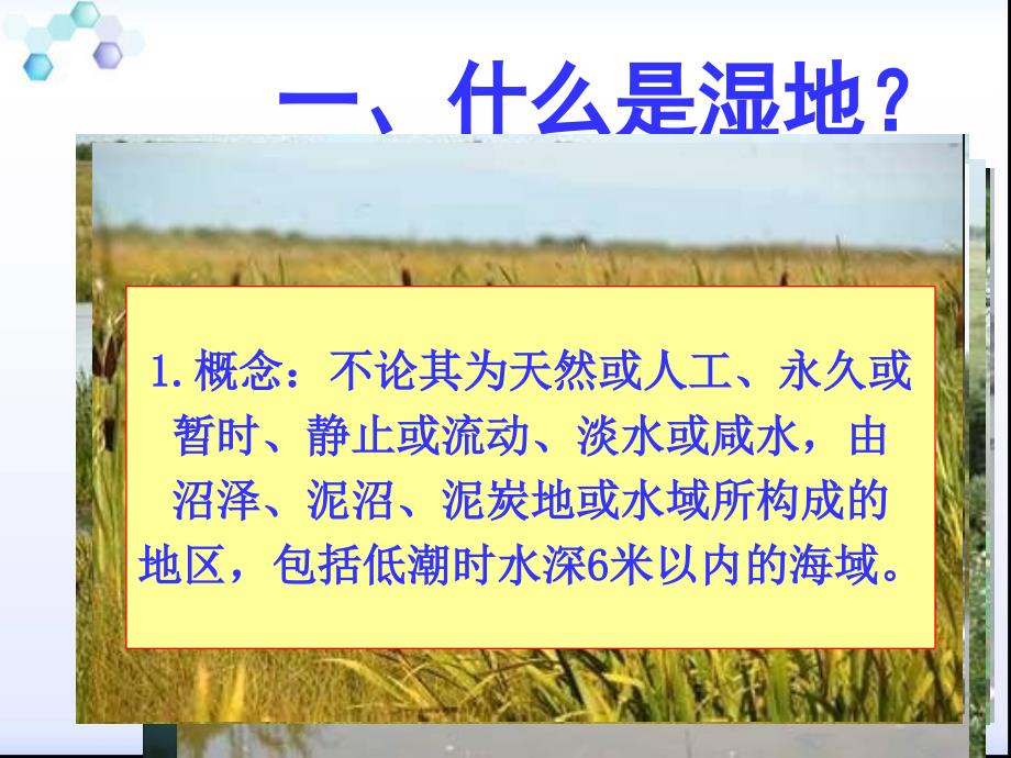 地理选修6人教版精品PPT课件4.3湿地干涸及其恢复_第2页