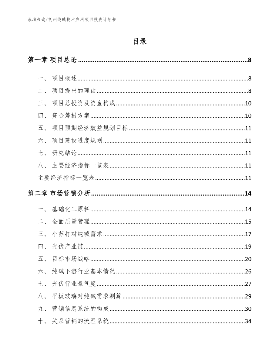 抚州纯碱技术应用项目投资计划书_模板_第2页