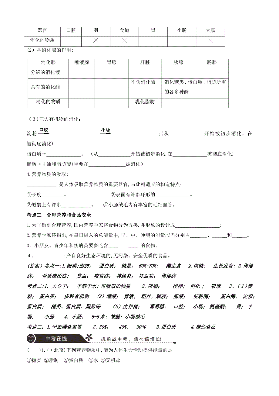 广东省中山市中考生物专题复习第四单元生物圈中的人人体的营养_第3页