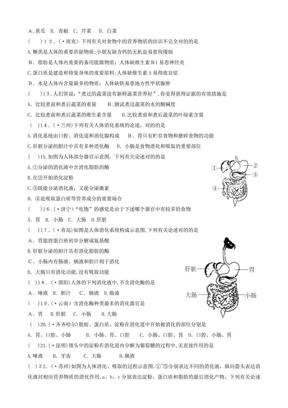 广东省中山市中考生物专题复习第四单元生物圈中的人人体的营养_第5页