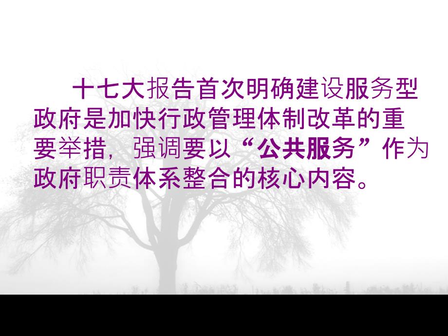 服务型政府的构建与社会管理体制变革_第4页