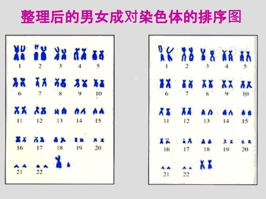 昆仑中学孙琚_第5页