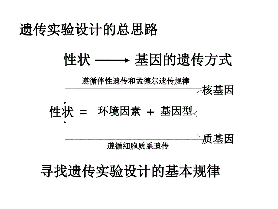 遗传实验设计专题.ppt_第3页