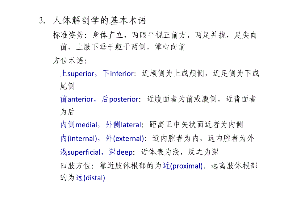 肌肉骨骼系统受力分析.ppt_第2页