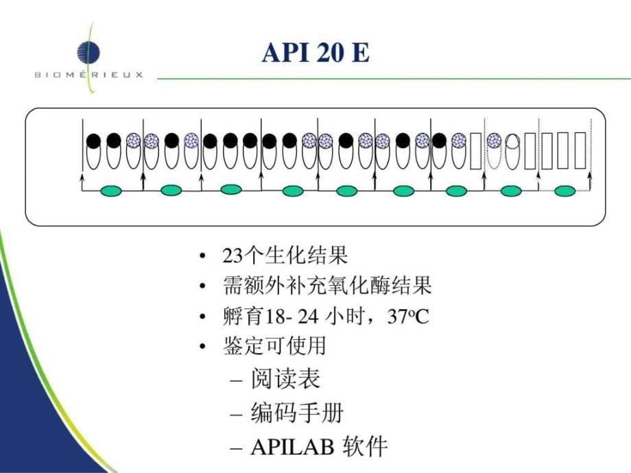 医学检验微生物api板条简介及原理.ppt_第5页