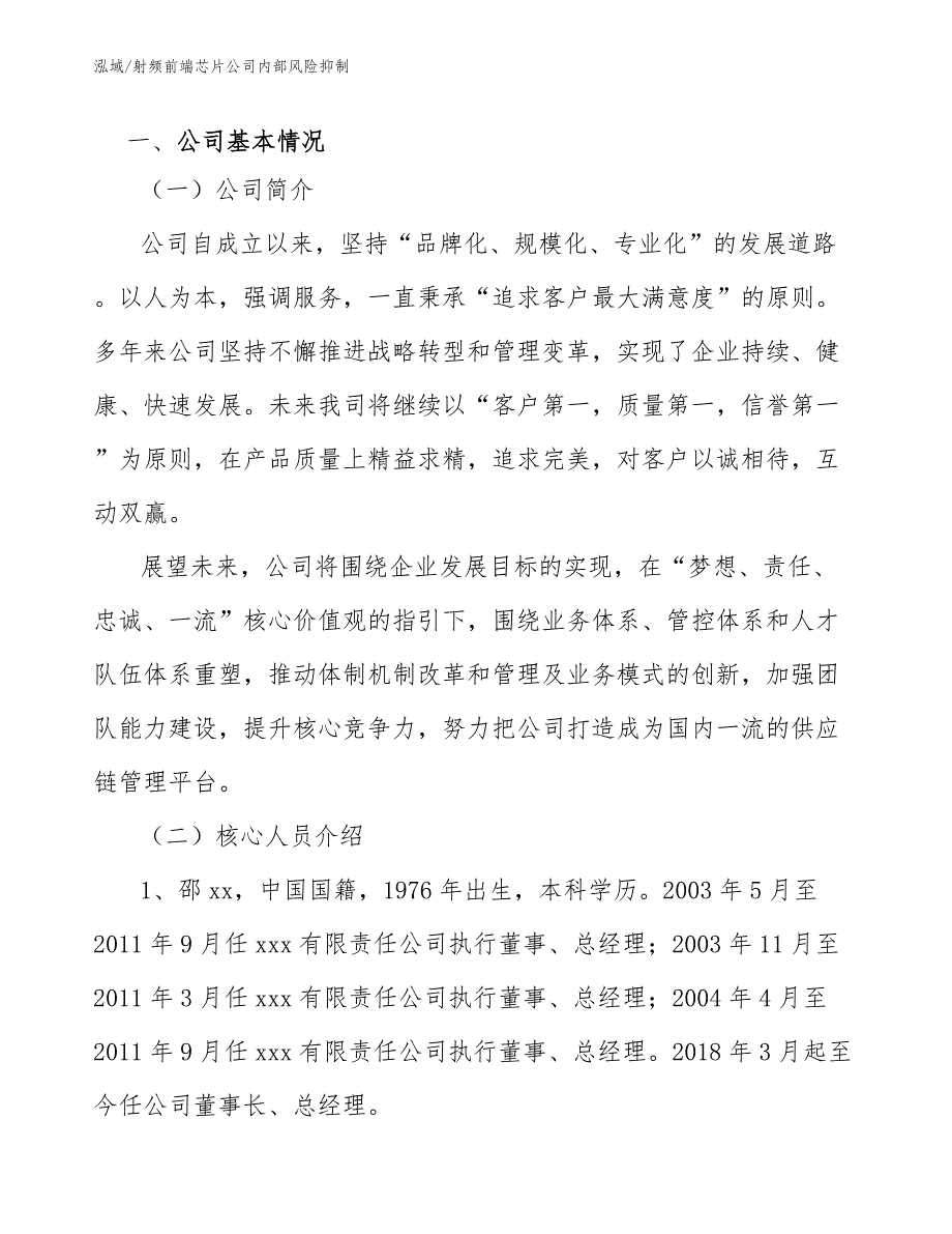 射频前端芯片公司内部风险抑制【参考】_第3页