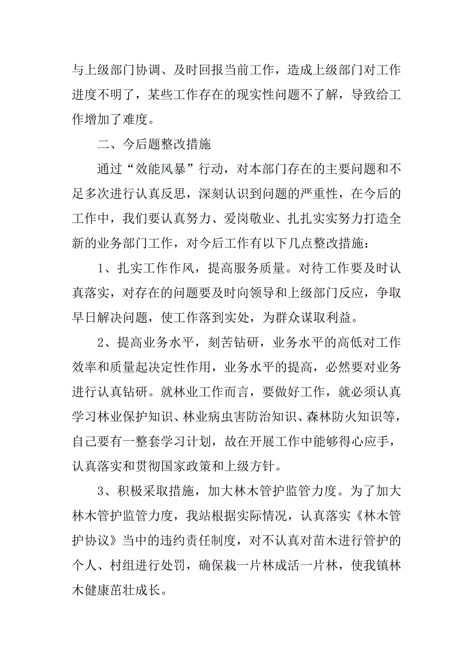 林业站效能风暴活动个人剖析材料.docx_第2页