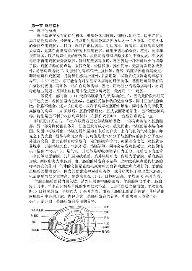 鸡胚培养和细胞培养.doc