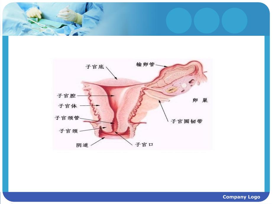 妇产科宫外孕护理查房(护理部课件)精选文档_第3页