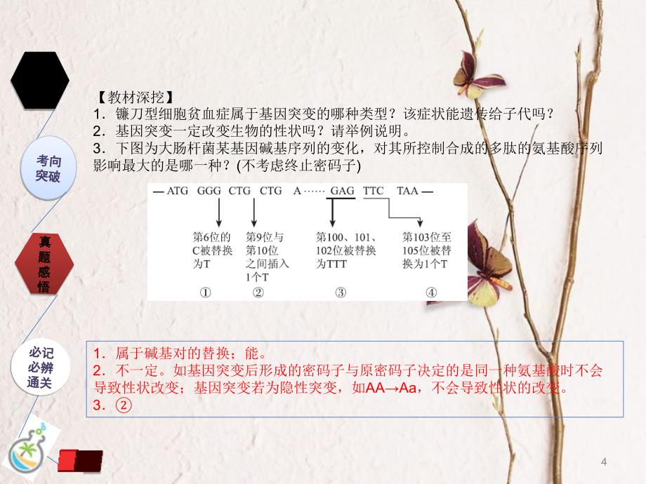 （全国卷 地区专用）高考生物总复习 第七单元 生物的变异、育种和进化 第1讲 基因突变和基因重组课件[共23页]_第4页