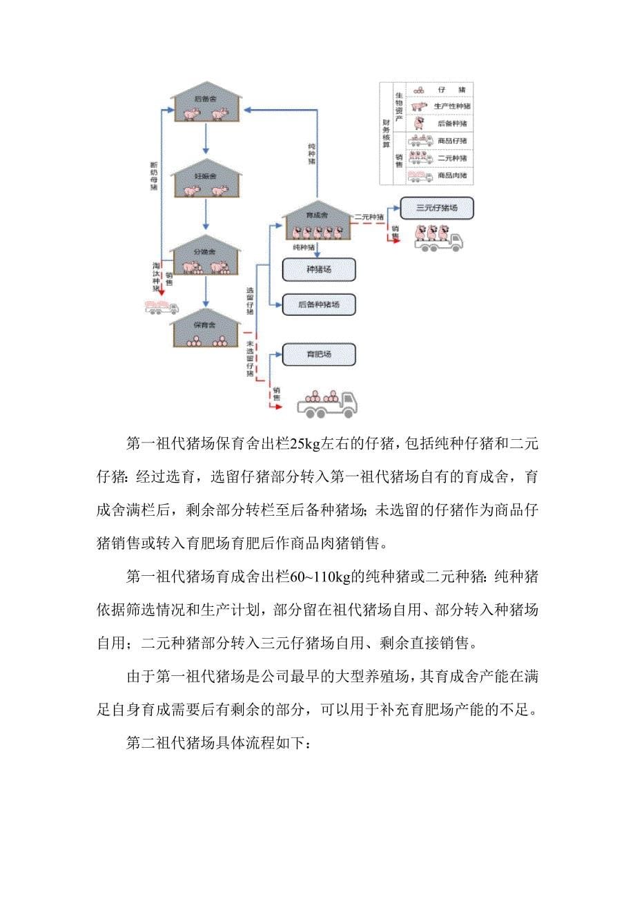 生猪养殖流程及养殖场_第5页